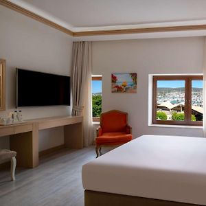 Queen Superior Room View
